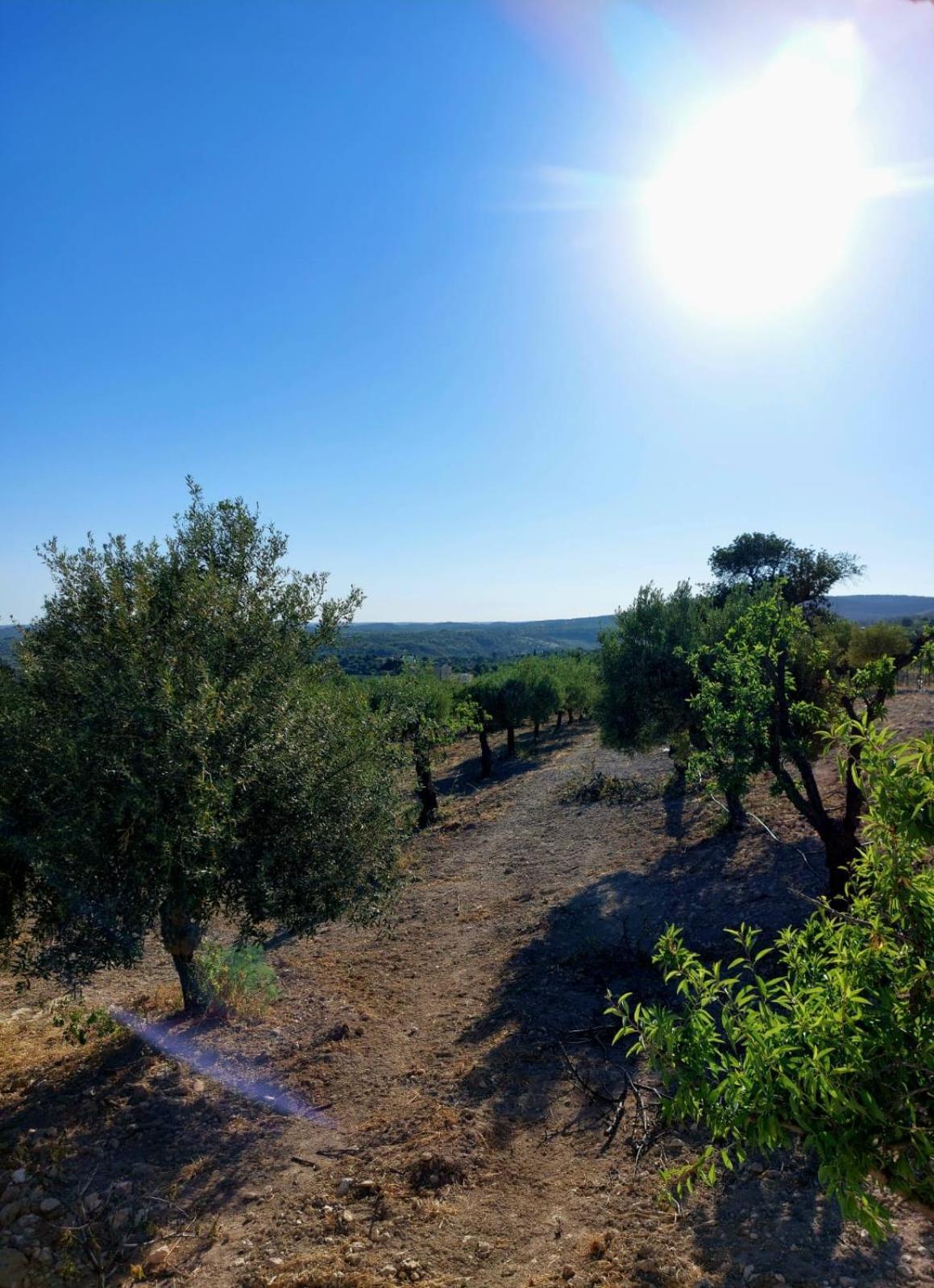 "Bnb Noto" - Charming Tiny House Eksteriør bilde