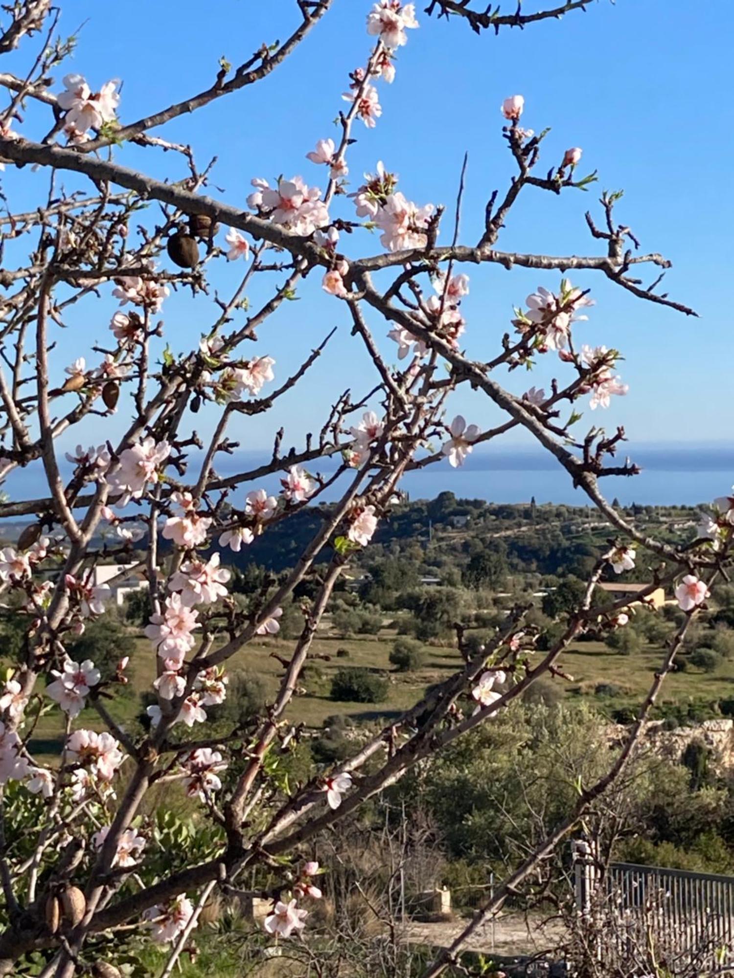 "Bnb Noto" - Charming Tiny House Eksteriør bilde